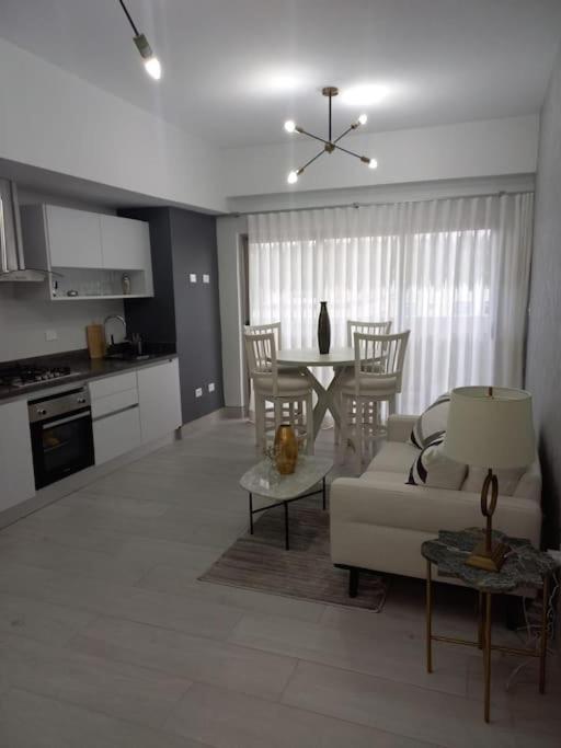 Brickell Hotel Apto G 08 Santo Domingo Bella Vista Экстерьер фото
